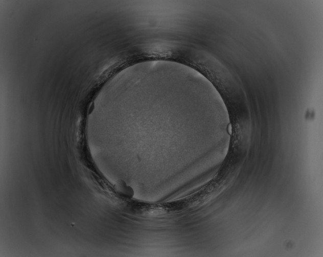 X0000100780600200807171445