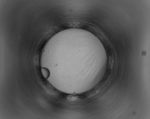 X0000100780602200807171444