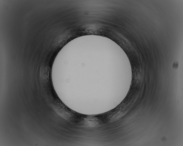 X0000100780603200807171444