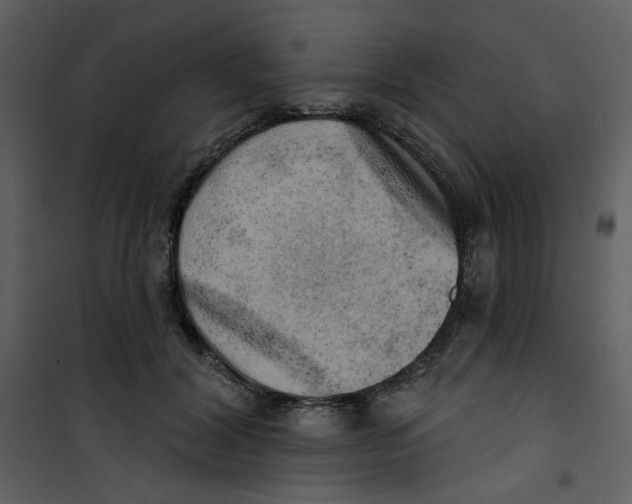 X0000100780604200807171444