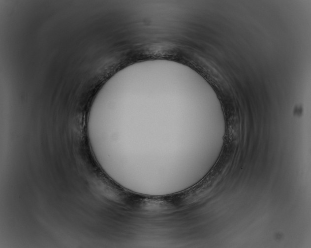 X0000100780605200807171444