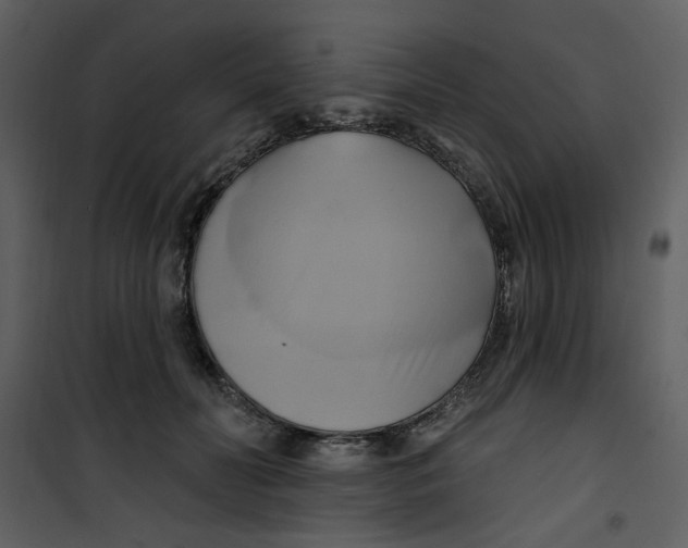 X0000100780606200807171444