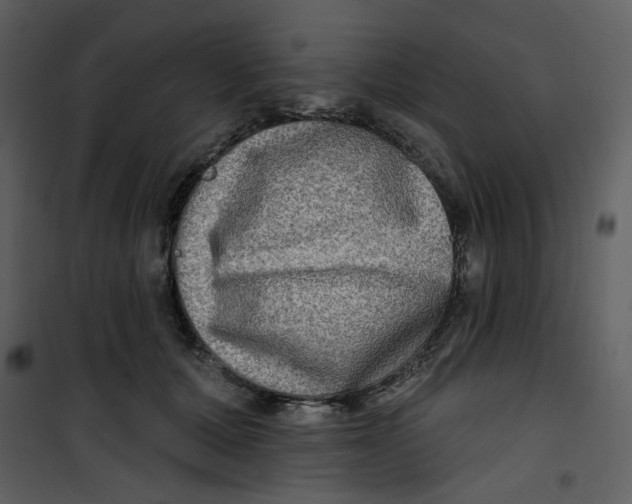 X0000100780607200807171444