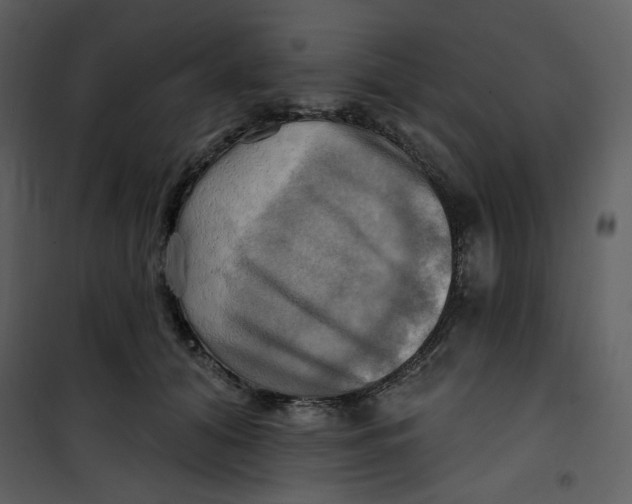 X0000100780608200807171444