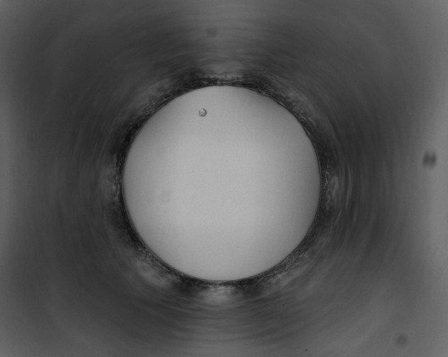 X0000100780609200807171444