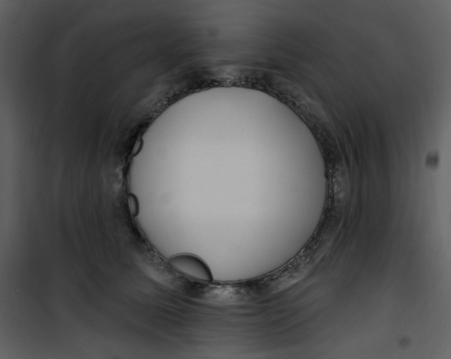 X0000100780611200807171444