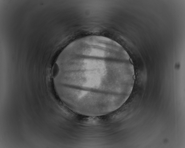 X0000100780612200807171444