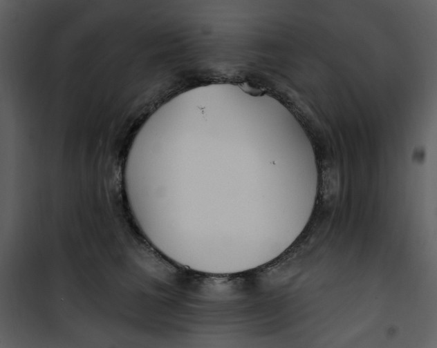 X0000100780613200807171444