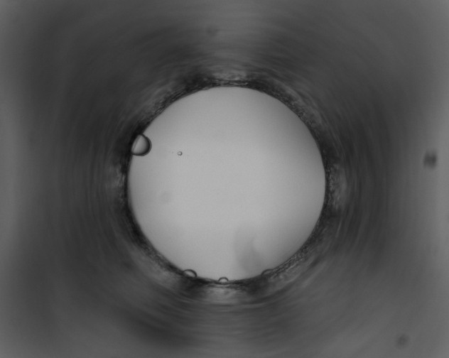 X0000100780614200807171444
