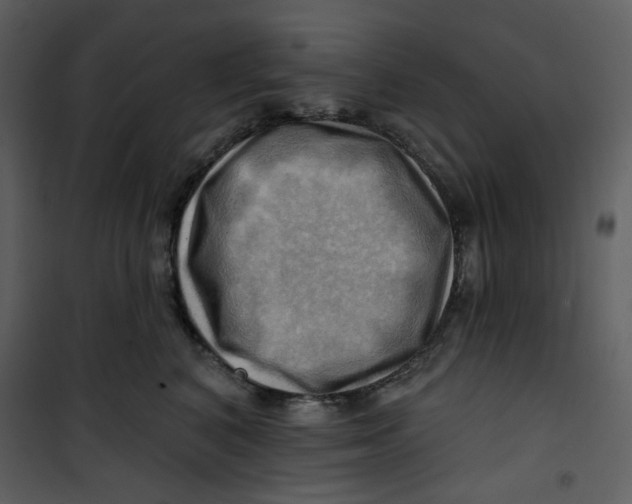 X0000100780616200807171444