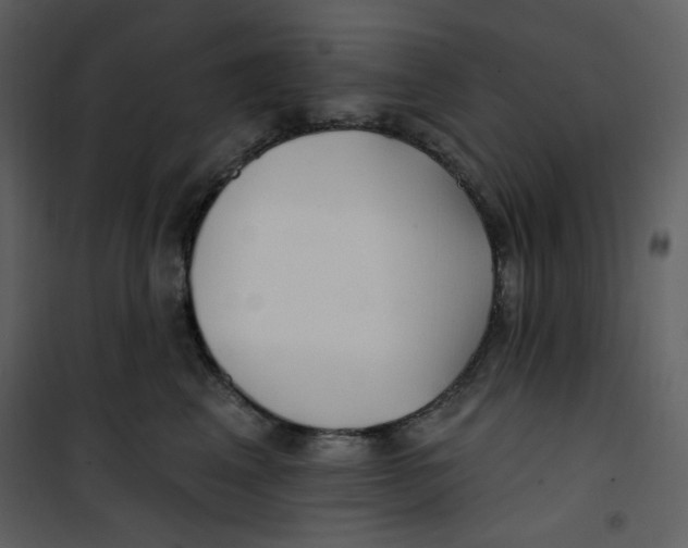 X0000100780617200807171444