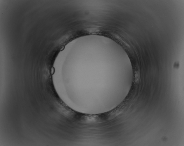 X0000100780618200807171444