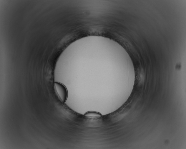 X0000100780619200807171444