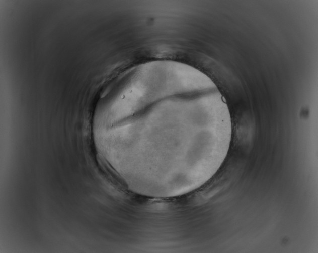 X0000100780620200807171444