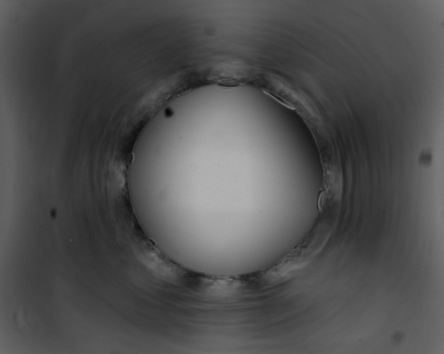 X0000100780621200807171444