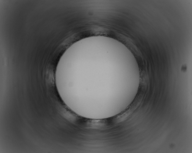 X0000100780622200807171444