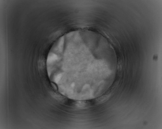 X0000100780623200807171444