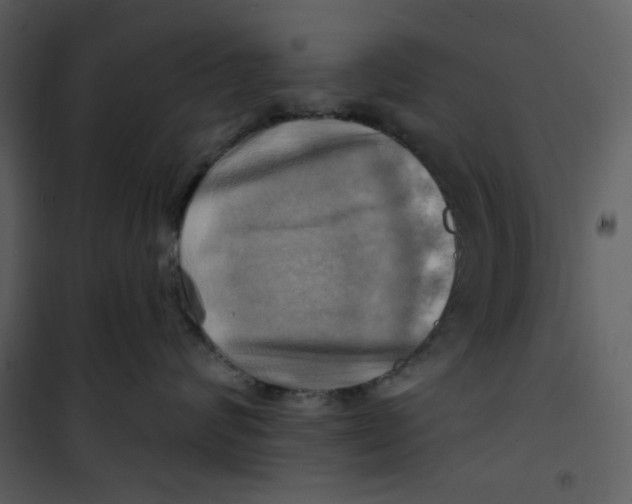 X0000100780624200807171444