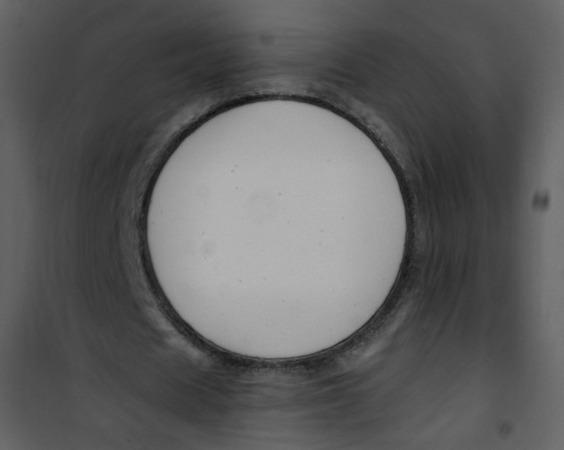 X0000100780625200807171443