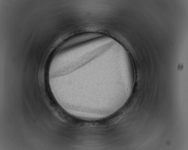 X0000100780626200807171443