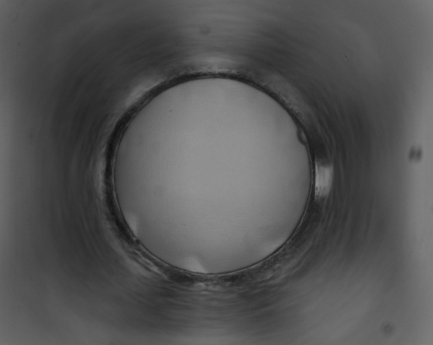 X0000100780627200807171443