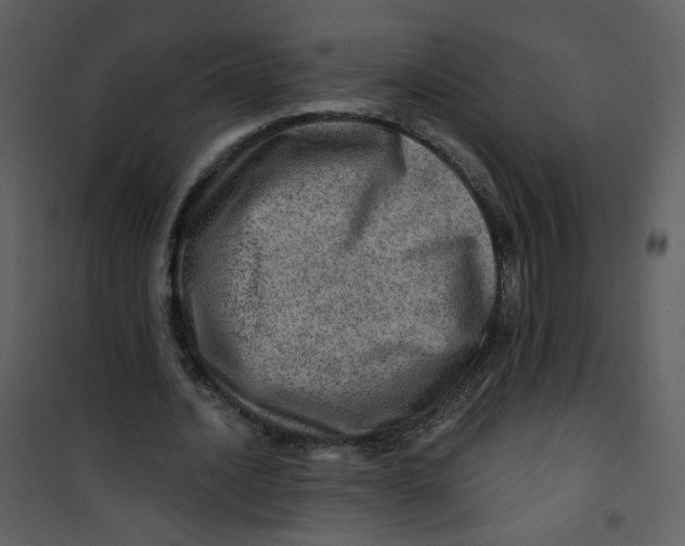 X0000100780628200807171444