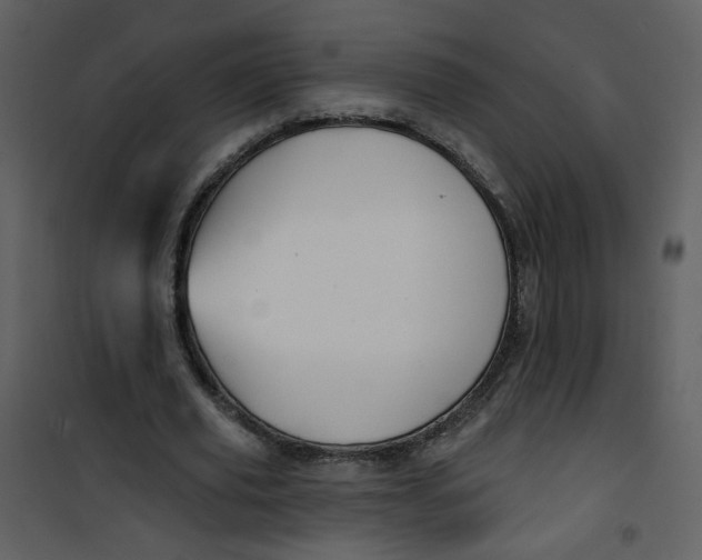 X0000100780629200807171444