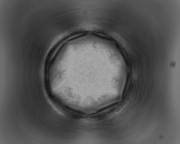 X0000100780630200807171444