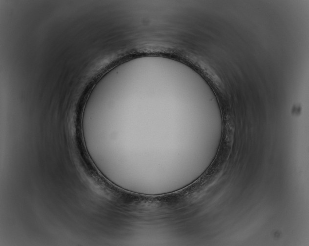 X0000100780631200807171444