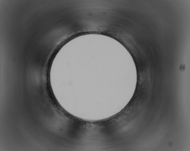 X0000100780632200807171444