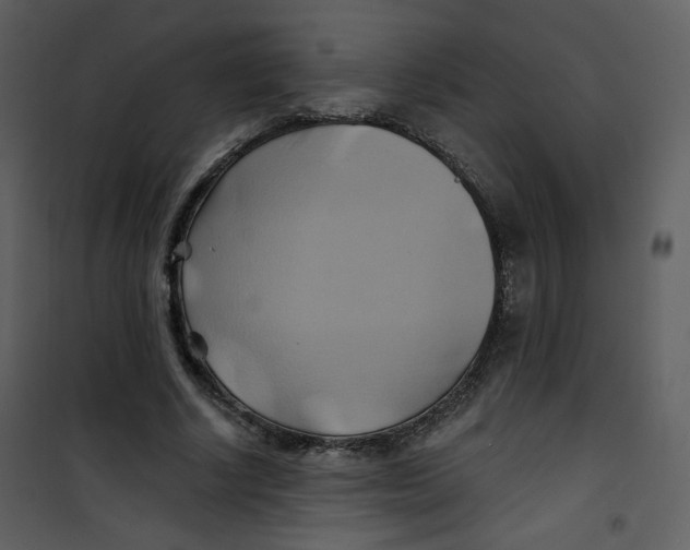 X0000100780634200807171444