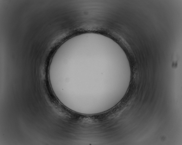 X0000100780635200807171444