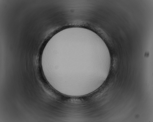 X0000100780636200807171444