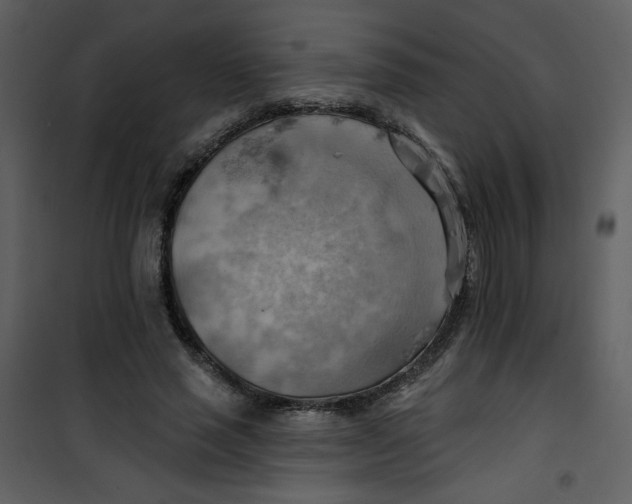 X0000100780637200807171444