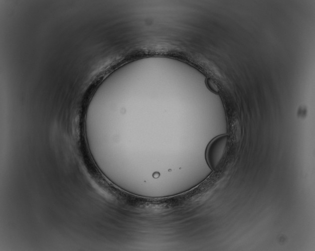 X0000100780638200807171444