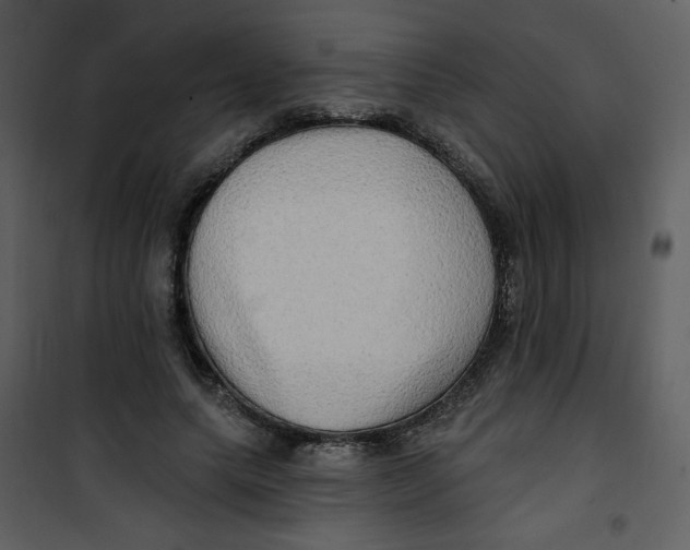 X0000100780639200807171444