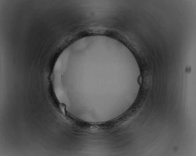 X0000100780641200807171444