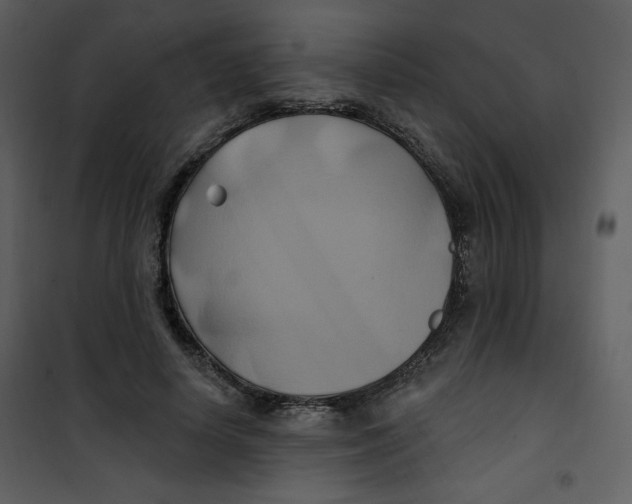 X0000100780642200807171444