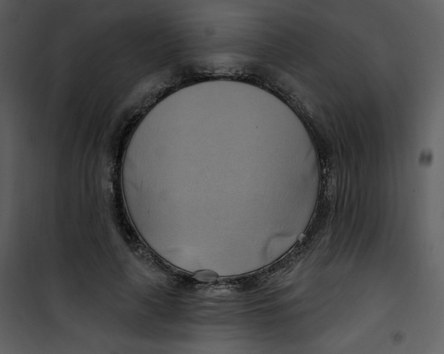 X0000100780643200807171444