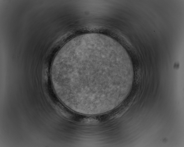 X0000100780644200807171444