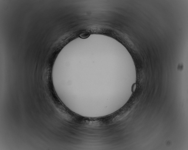 X0000100780645200807171444