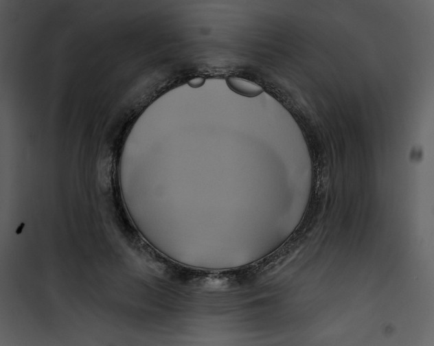 X0000100780647200807171444