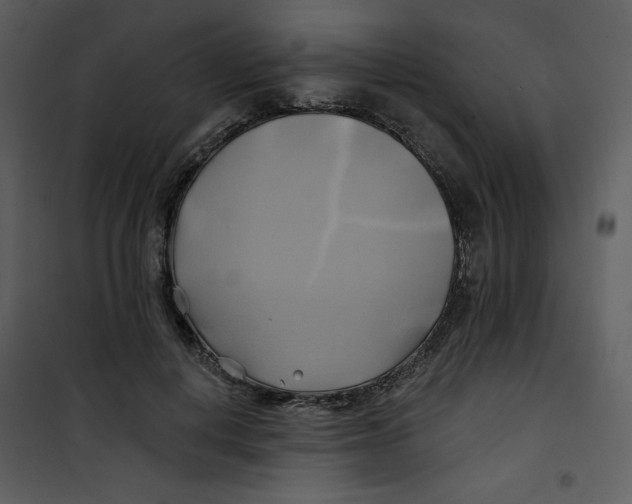 X0000100780648200807171444