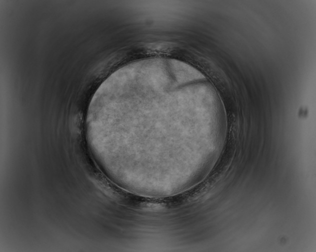 X0000100780649200807171444