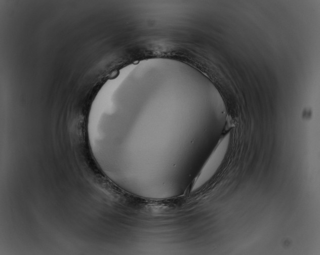 X0000100780650200807171444