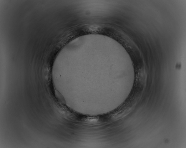 X0000100780651200807171444