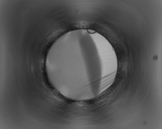 X0000100780652200807171444
