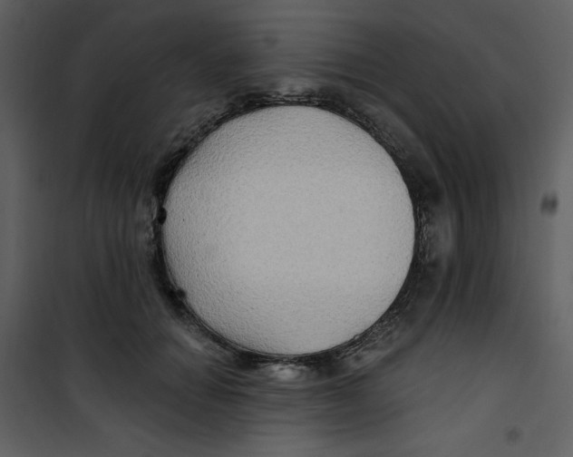 X0000100780654200807171444