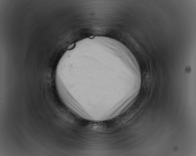 X0000100780655200807171444