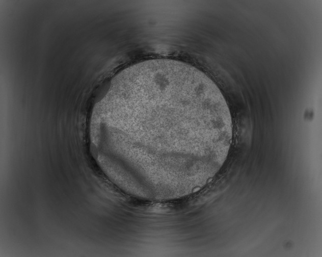 X0000100780656200807171444